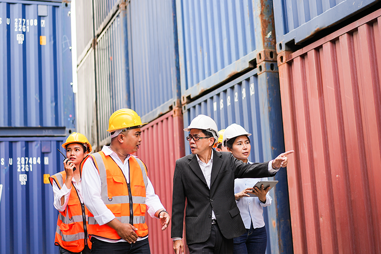 Project management, implementation and training